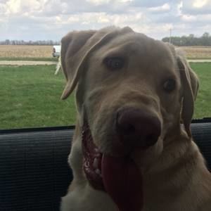 Meet your Posher, Sam